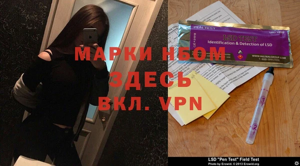 шишки Приозерск